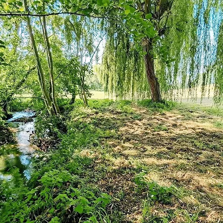 Les Roches - Au Bord De L'eau Avec Jardin, Terrasse Et Parking * Feuguerolles-Bully