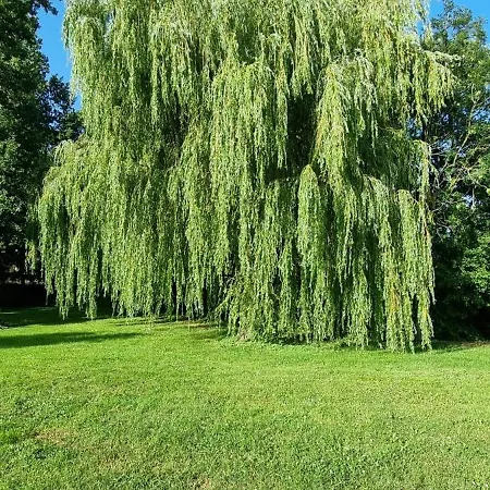 Vakantiehuis Les Roches - Au Bord De L'eau Avec Jardin, Terrasse Et Parking *