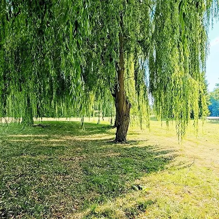Les Roches - Au Bord De L'eau Avec Jardin, Terrasse Et Parking Vakantiehuis *