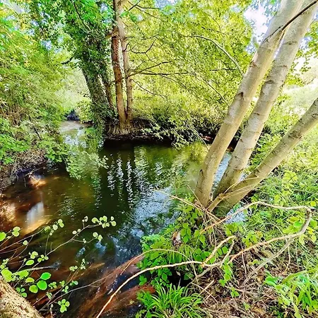 Les Roches - Au Bord De L'eau Avec Jardin, Terrasse Et Parking Vakantiehuis