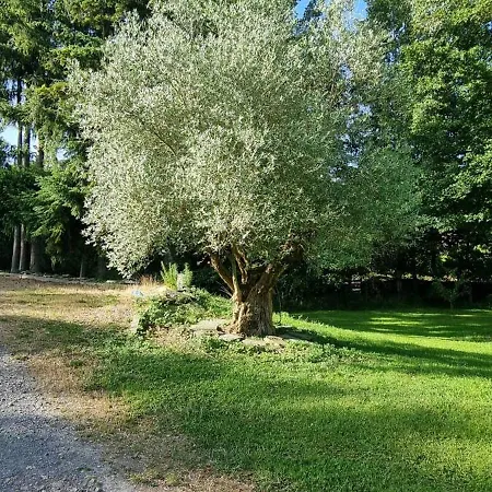 Les Roches - Au Bord De L'eau Avec Jardin, Terrasse Et Parking Vakantiehuis Feuguerolles-Bully