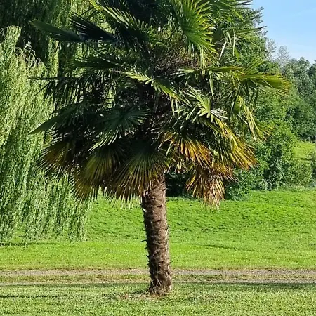 Les Roches - Au Bord De L'eau Avec Jardin, Terrasse Et Parking Vakantiehuis