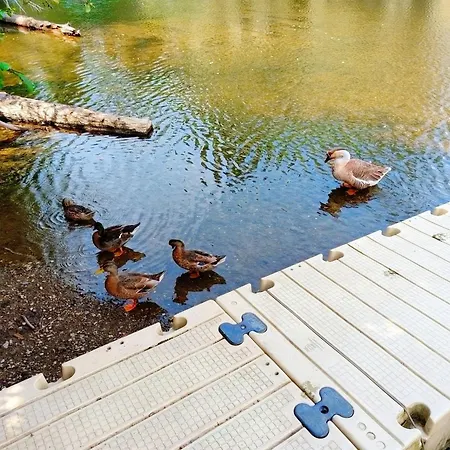 Les Roches - Au Bord De L'eau Avec Jardin, Terrasse Et Parking Feuguerolles-Bully